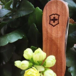 Victorinox Nail Clip 580 - Walnut -Stanley Store 0.6461.63 5 600x600 5830c94e 67cf 474d b2ba 9efa7ef6d0f0