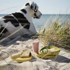 Light My Fire Eat´n Drink Kit BIO For 4 Nature -Stanley Store 2f9ba20e0235df98918201b6cf544baa 1