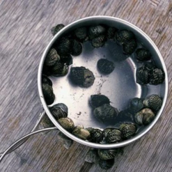 Snow Peak Titanium Personal Cookerset -Stanley Store 5 f4a24d2b 74c1 4d6c b87f 1a2061f2d3b5