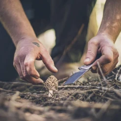 Gerber Asada Folder -Stanley Store 64