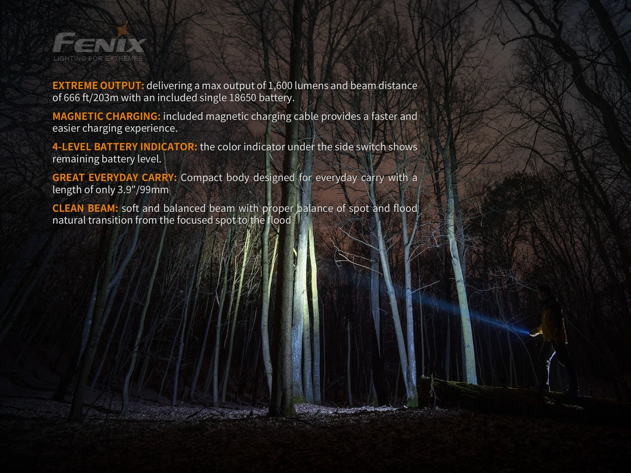 Fenix E30R Luminus SST40 LED Flashlight BLACK 7 Fenix E30R Luminus SST40 LED Flashlight BLACK - Image 5