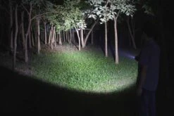 Fenix LD12 2017 Edition LED Flashlight 320 Lumens -Stanley Store Fenix LD12 Flashlight light beam