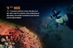 Fenix SD11 XM-L2 U2 Diving Photographic Light -Stanley Store Fenix SD11 Diving Flashlight red plus mode