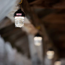 Barebones Beacon Kraft Packaging - Gray -Stanley Store LIV 297 5 f4606ed6 678d 4f1c 99d9 701cd67d88df